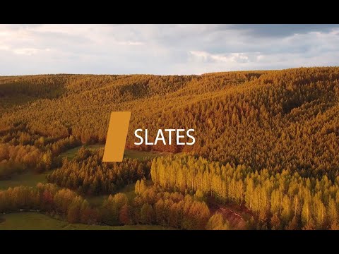 DUAL GRES новинки 2020 SLATES