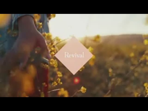 COLORKER коллекция REVIVAL