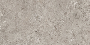 BIERZO GRIS 60X120